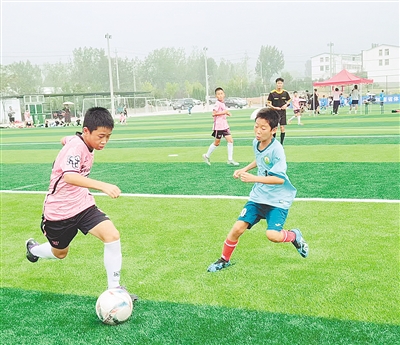 大型帮扶公, 孟令伟, 暑期生活 大型帮扶公, 孟令伟, 暑期生活